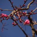 동의다올한의원 이미지