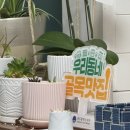 똘똘이아구찜 이미지