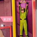 수원-1668 이미지