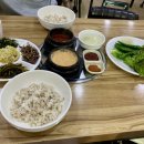 향토보리밥집 이미지