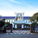 금악리야구장 야구장 이미지