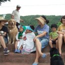 청도천6 이미지