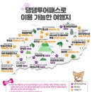 허니스티 펫 베이커리 | [반려견 동반 제주여행] 제주투어패스-댕댕투어패스 후기