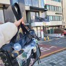 빅토리마트 | 스네이프 생카 (생일카페) 후기