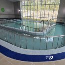 몸사랑건강마을 이미지