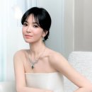 비컷 이미지