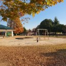 광양제철유치원 이미지