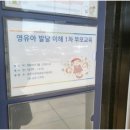 유아교육연구소자람 이미지