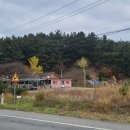 금배네 민박 이미지