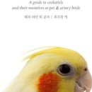 브리더스 퀄리티 이미지