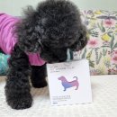 엔케이(NK)솔루션 이미지