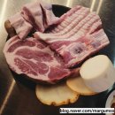 부산 데이트 온천천 맛집 고기집 산책 후기