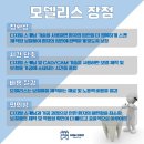 모델리스 치과기공소 이미지