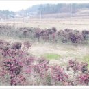 농원농산 이미지