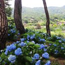 내촌마을 이미지