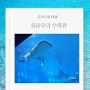 돌고래레스토랑 | 오키나와 츄라우미 수족관 고래상어 돌고래쇼 방문 후기