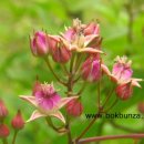 종복농장 이미지