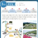 대위리-양지리 이미지