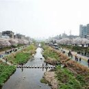 불광천5 이미지