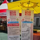 2026 괴산 빨간맛 페스티벌 후기 꿀팁