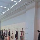 핏클러스터 이미지