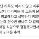 고등어아가씨