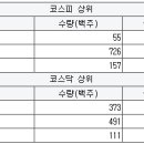 와이디모터스