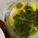 천보다원 이미지