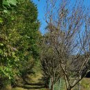 태수농장 이미지