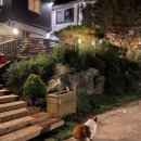 8코기네 애견펜션 이미지