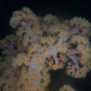 남해-313 이미지