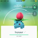 고봉이네 이미지