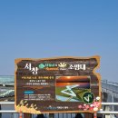 영산강서창들녘억새길 | 잠시 도심을 벗어나 머리도 식힐 겸 서창" 감성 조망대"와 주변 스케치