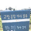 캔들북스