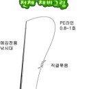 갑오징어 낚시 채비법 이미지