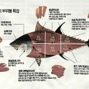 우리동네참치정육점 이미지