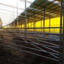 태호축사 이미지