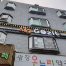 고지트 | 신림 대학동 고양이카페 <고지트> GOzit