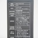 데일리시