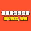 운정파크골프장 이미지