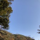 우정트레킹여행사
