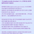 림프혈관강 침윤(Lymphovascular Invasion, LVI)이란? 이미지