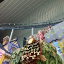 (주)카월드 | 롯데월드 키 제한 놀이기구 총정리 | 90cm~100cm 아이 탈 수 있는 어트랙션 완벽 정리 (실제 후기)