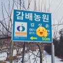 킴스팜 | [농가방문후기]킴스팜