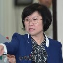 &#39;대리기사 폭행&#39; 더민주 김현…안산 단원甲 출마 이미지