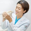 에코동물병원 이미지