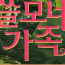 정 헤어랜드 이미지