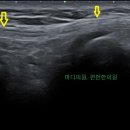 마디의원, 편한한의원 이미지