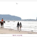 태안 티스토리