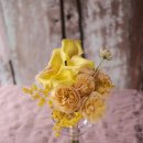 멜로우옐로우(mellow yellow)